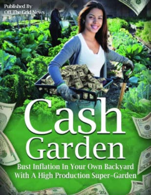 Cash Garden Cover Image