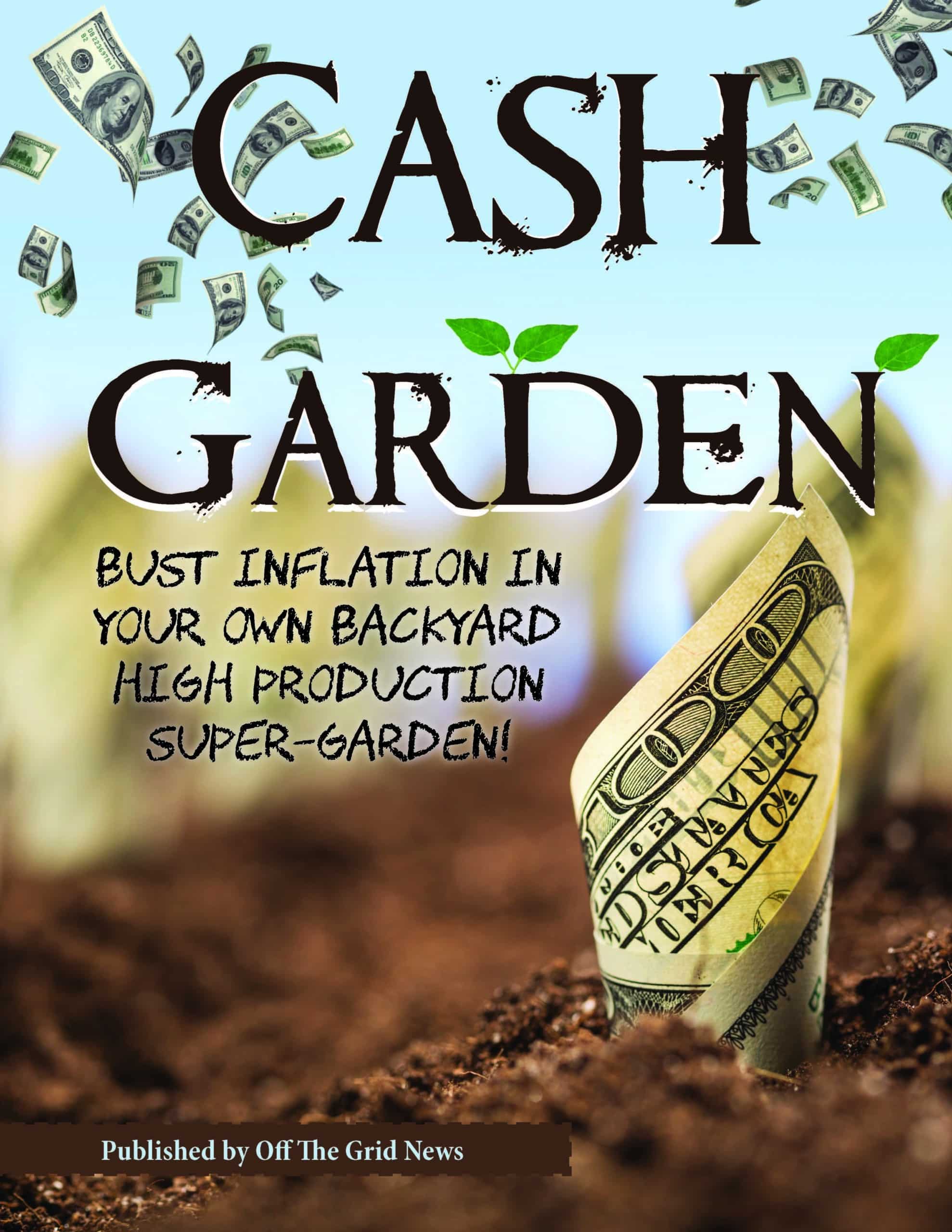 Cash-Garden-Cover-Image-Revised-Version-scaled